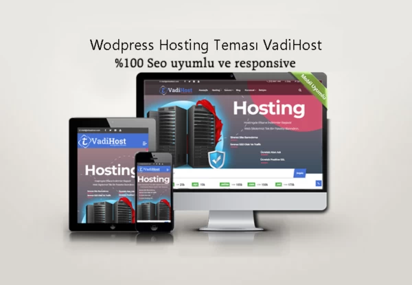 WordPress Hosting ve Blog Kurumsal Tema domain satış teması – MsiYazilim.com